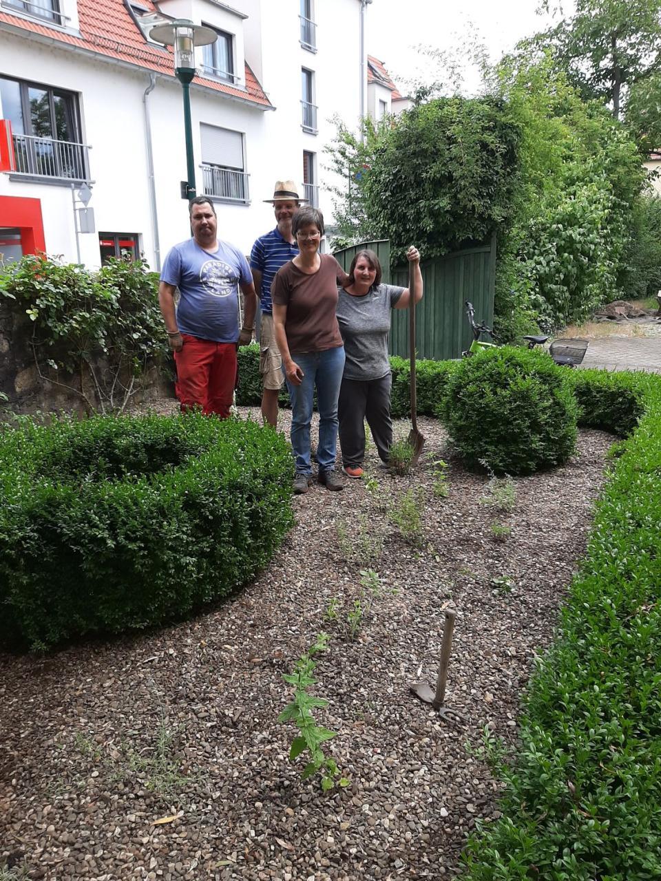 ein Kiesbeet zwischen grünen Pflanzen