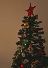 ein geschmückter Weihnachtsbaum