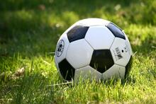 Ein Fußball im Gras