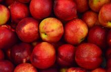 viele rote Äpfel
