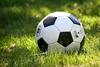 Ein Fußball im Gras