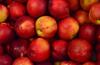viele rote Äpfel